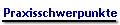 Praxisschwerpunkte